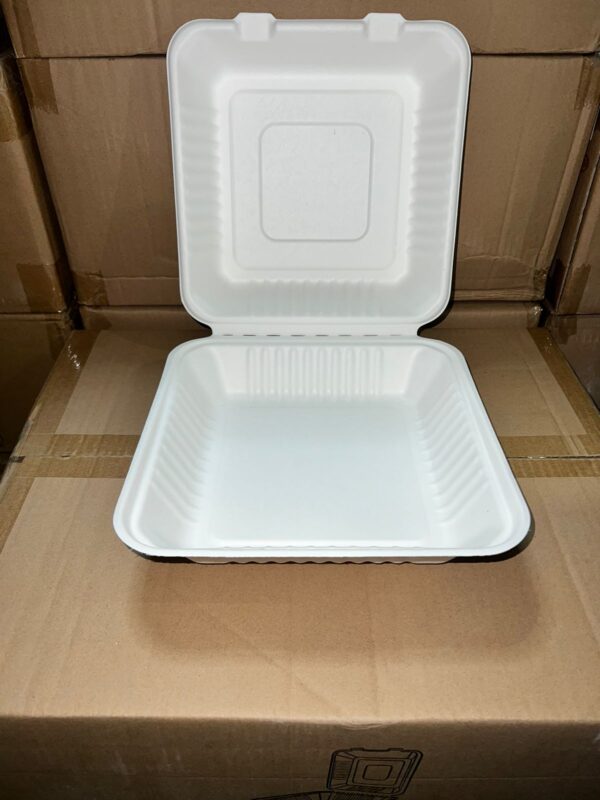 ENVASE BIODEGRADABLE DE FIBRA CT3 - Imagen 3