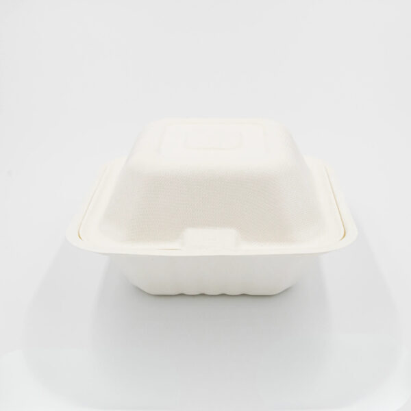 ENVASE BIODEGRADABLE DE FIBRA CT6 - Imagen 2
