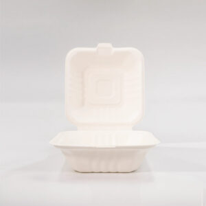 ENVASE BIODEGRADABLE DE FIBRA CT6