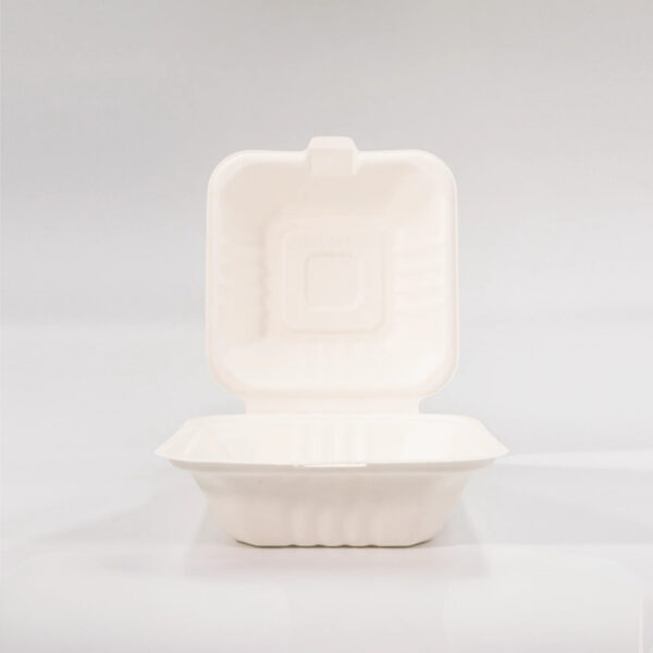 ENVASE BIODEGRADABLE DE FIBRA CT6