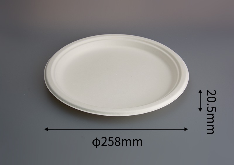 PLATO #26 BIODEGRADABLE DE FIBRA - Imagen 4