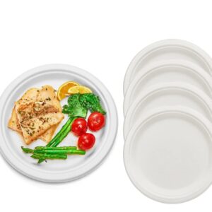PLATO #15 BIODEGRADABLE DE FIBRA