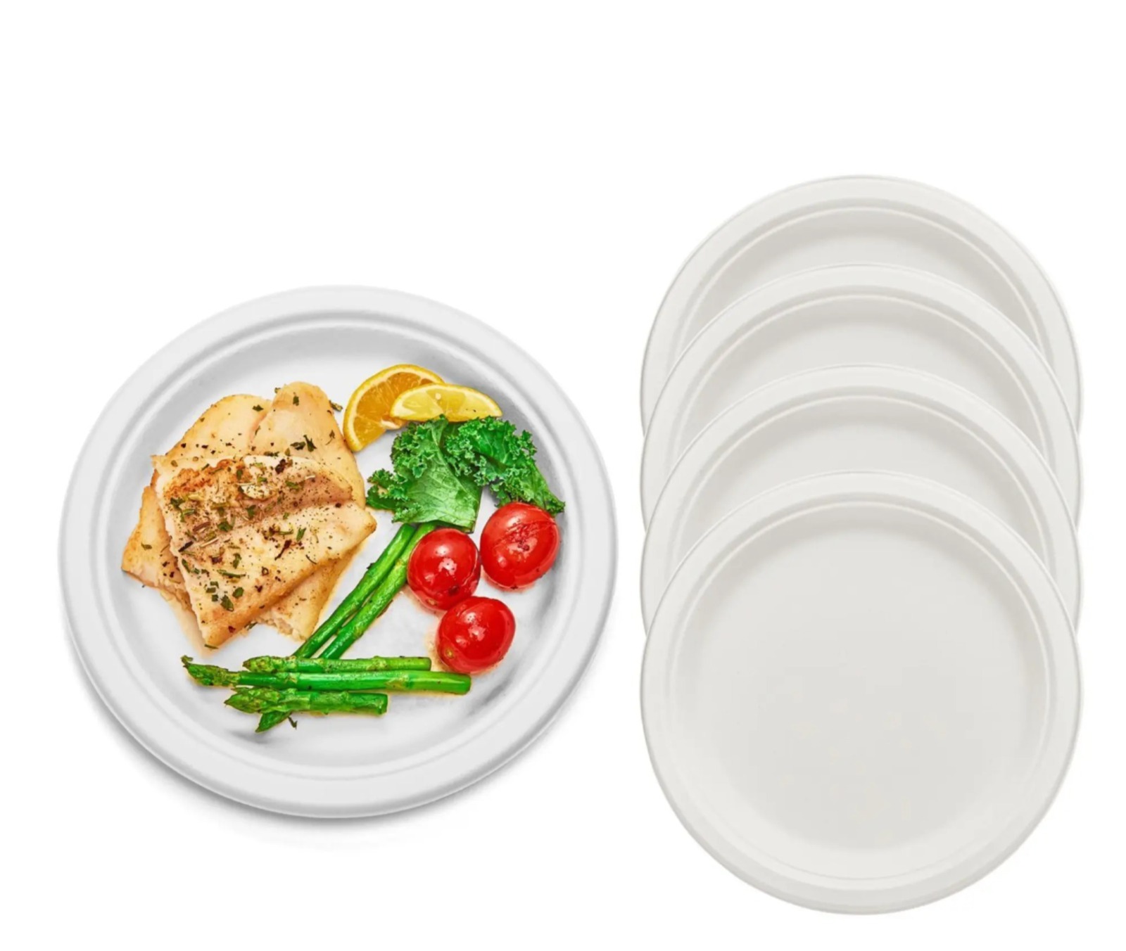 PLATO #22 BIODEGRADABLE DE FIBRA - Imagen 2