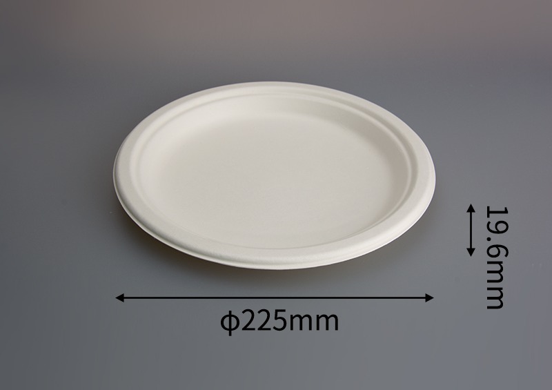 PLATO #22 BIODEGRADABLE DE FIBRA - Imagen 3
